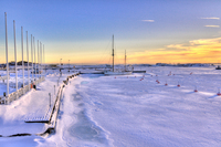 Purjelaiva