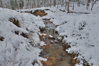 Snow_dec_2010_43