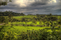 _mg_4932_3_4_tonemapped