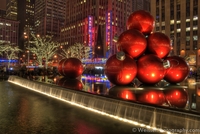 Nyc_5_of_8_