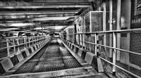 _dsc0067_5