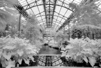 Longwood_ir_hdr-301