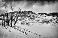 Yellowstone1
