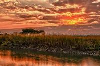 Sunrise-murells