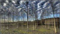 F25627181___tonemapped