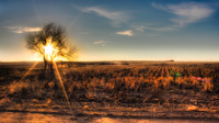 Kansas_sunset
