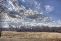 Coolspring_s_pasture_2