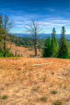 300_2465_6_7_8_9_tonemapped-edit-lowres