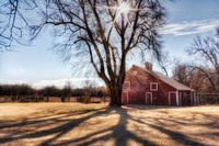 Farm