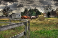 Hayheaven