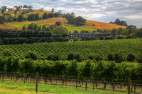 Img_4521_2_3_tonemapped_copy