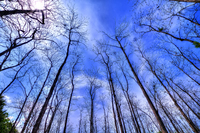 _mg_9203_4_5_tonemapped