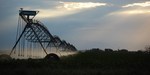 Thirsty-crops