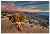 110114_7493-hdr-ps-fr
