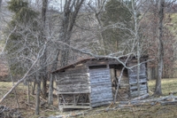 Woodshed3