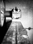 Darmschleimerei-15