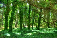 Img_0249_tonemapped