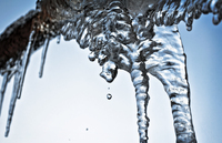 Ice_cicle_1