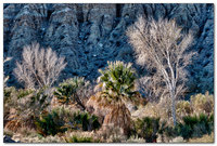 110121_8139-hdr-ps-fr