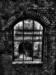 Darmschleimerei-14
