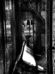 Darmschleimerei-12