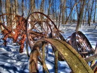 Wheels_3