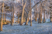 Snow_sunrise_10