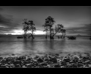 Hdr_cramed
