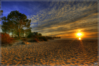 1000