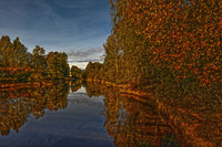 _dsc2120