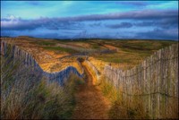 Coastal_trail