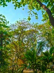 Hdr90