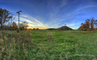 Cowfield