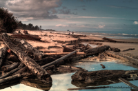 Hdr_05