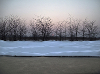 Palic_suma