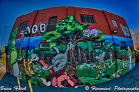 Wonderland_fisheye_hdr-2