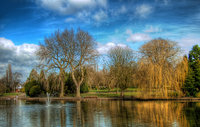 Dscf0244