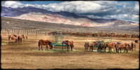 Blm-horse-corral