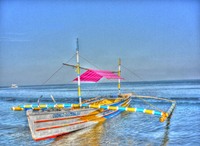 Hdr238