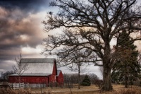 Img_0029_hdr