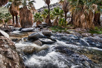 110306_0801-hdr