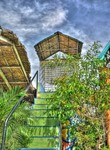 Hdr287