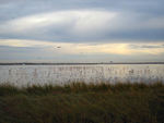 Salina-di-cervia