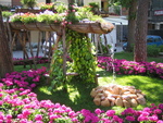 Cervia-maggio-in-fiore