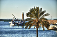 Palma_hdr