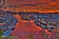 Morning_on_portage_bay