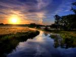 Abbey-stream-on-send-marsh-at-dawn