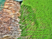 Hdr265