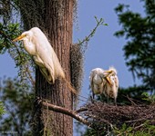 Gallery_1_b
