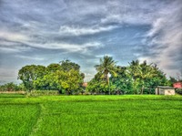 Hdr291